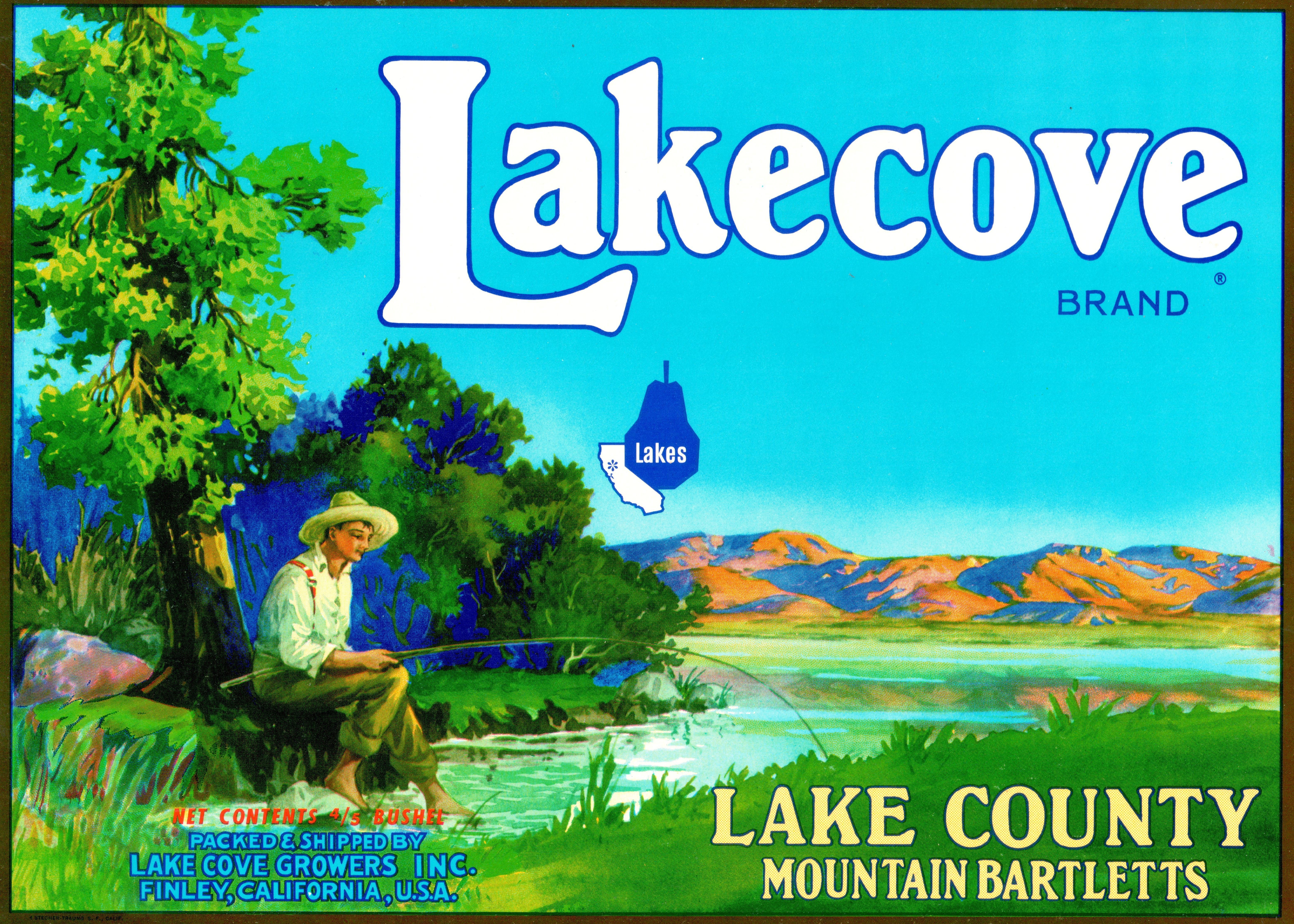 Lakecove Pears Fruit Label