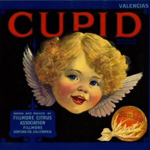 Cupid Valencias Sunkist Oranges - Framed Fruit Label