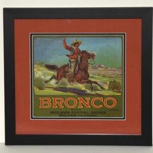Bronco Brand Fruit Label - Black Frame