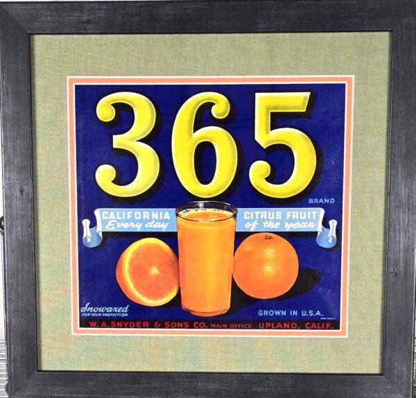 365 Brand Oranges - Framed Fruit Label