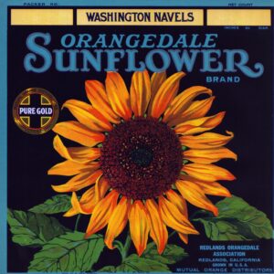 Orangedale Sunflower Brand Washington Navels Fruit Label