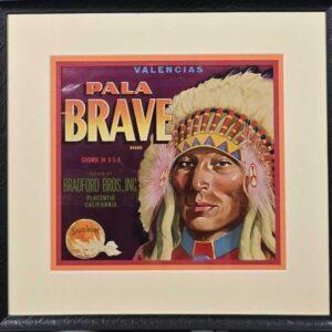 Pala Brave Sunkist Valencias Fruit Label
