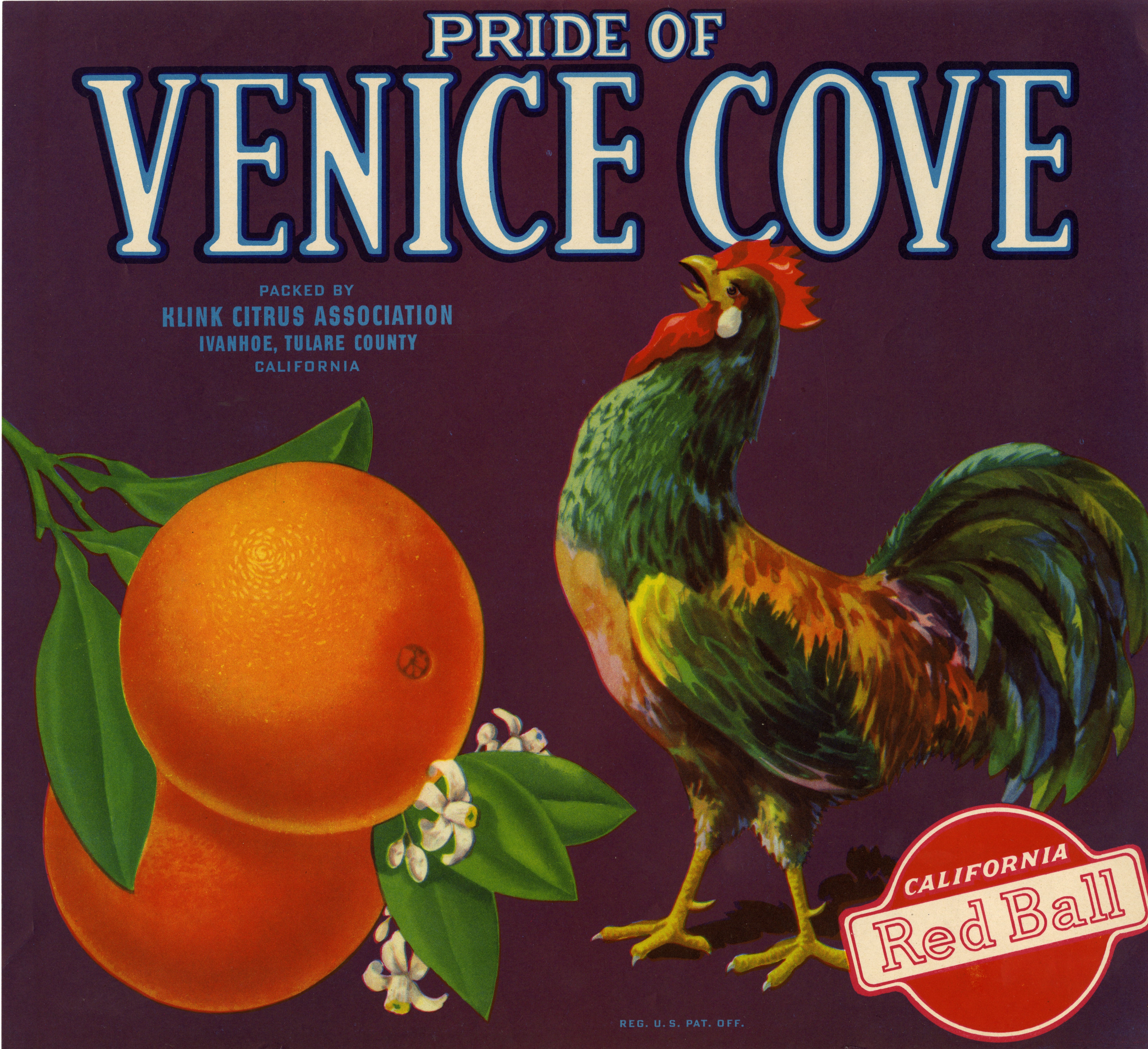 Pride of Venice Cove Fruit Label