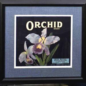 Orchid Brand Oranges - Framed Fruit Label