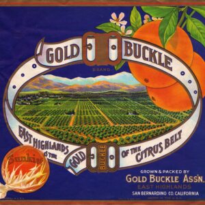 Gold Buckle Oranges Fruit Label Unframed